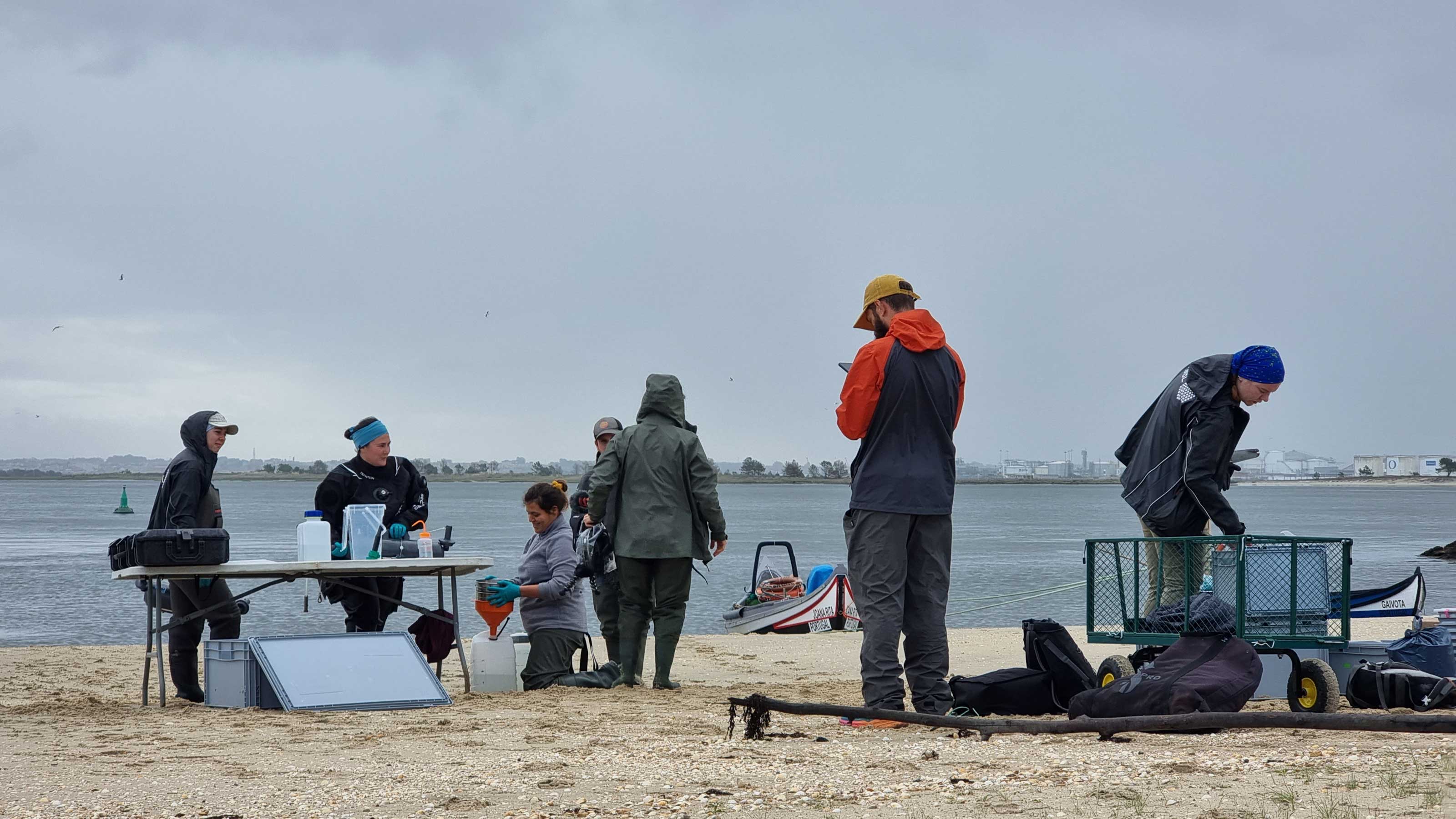 TREC and CIIMAR sampling in Porto, Portugal