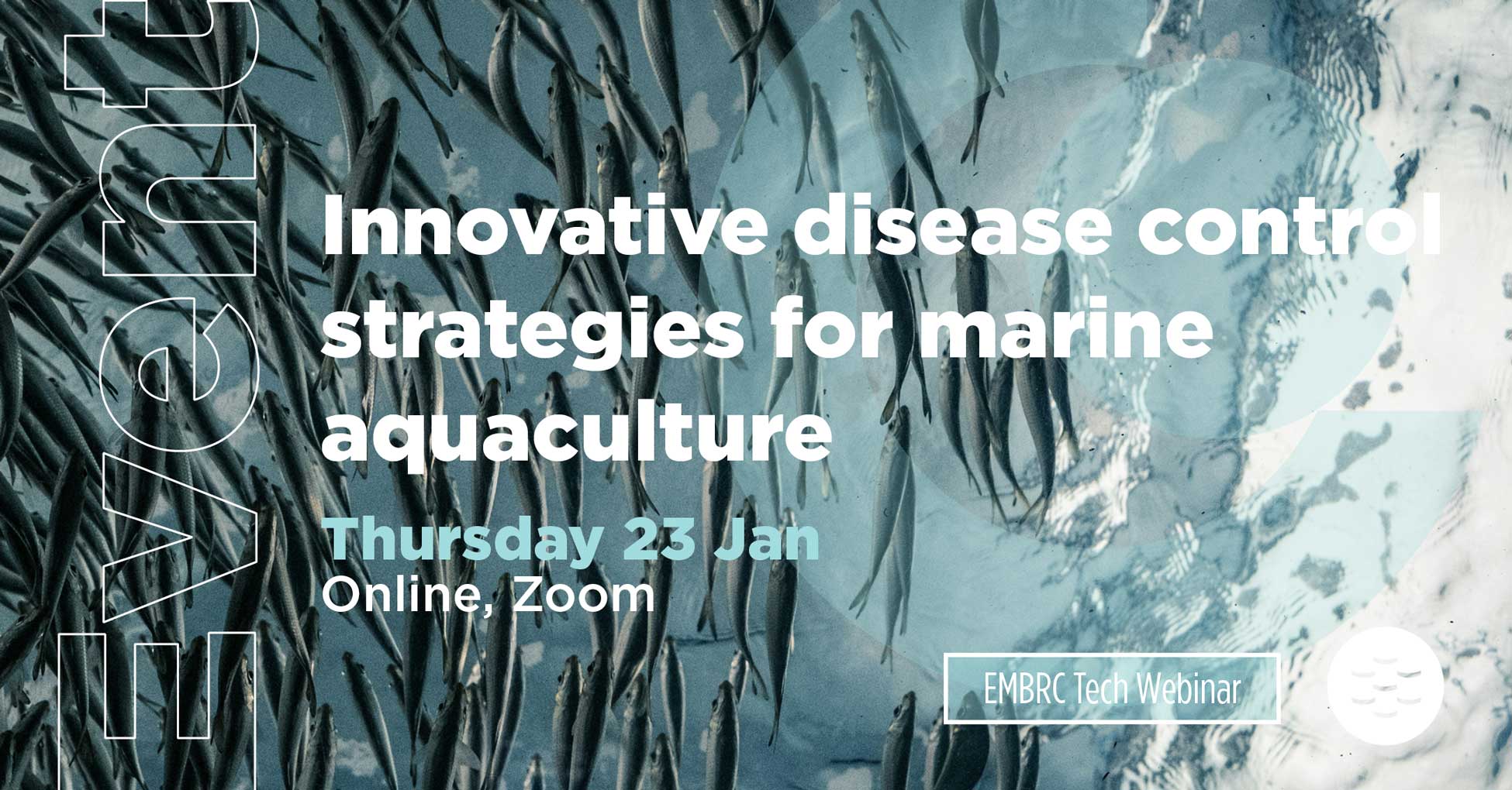 Innovative disease control strategies for marine aquaculture