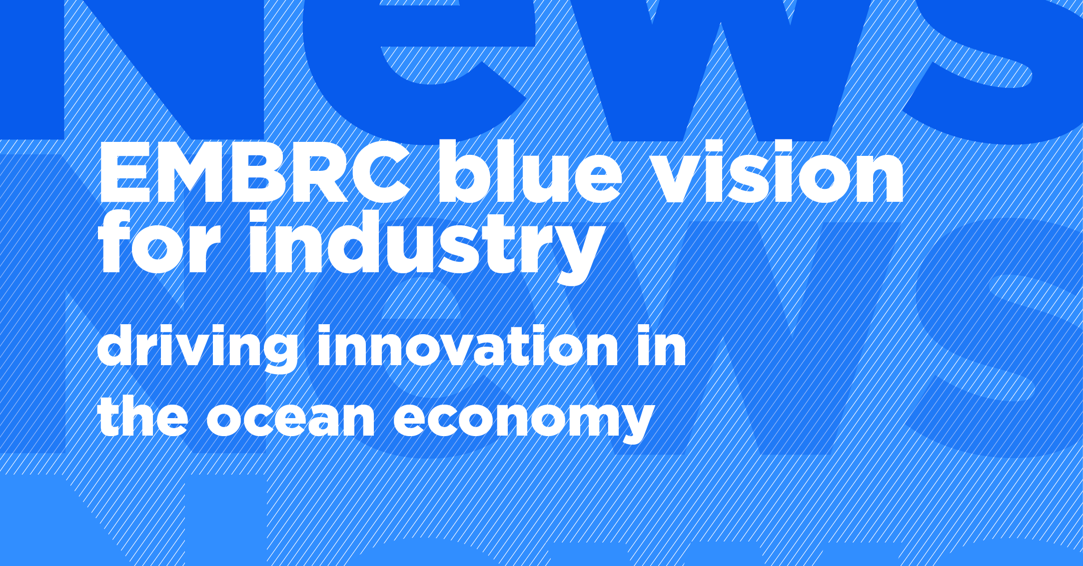 EMBRC blue vision for industry