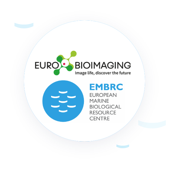 Euro BioImaging and EMBRC