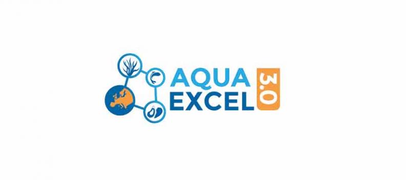 Aquaexcel Logo